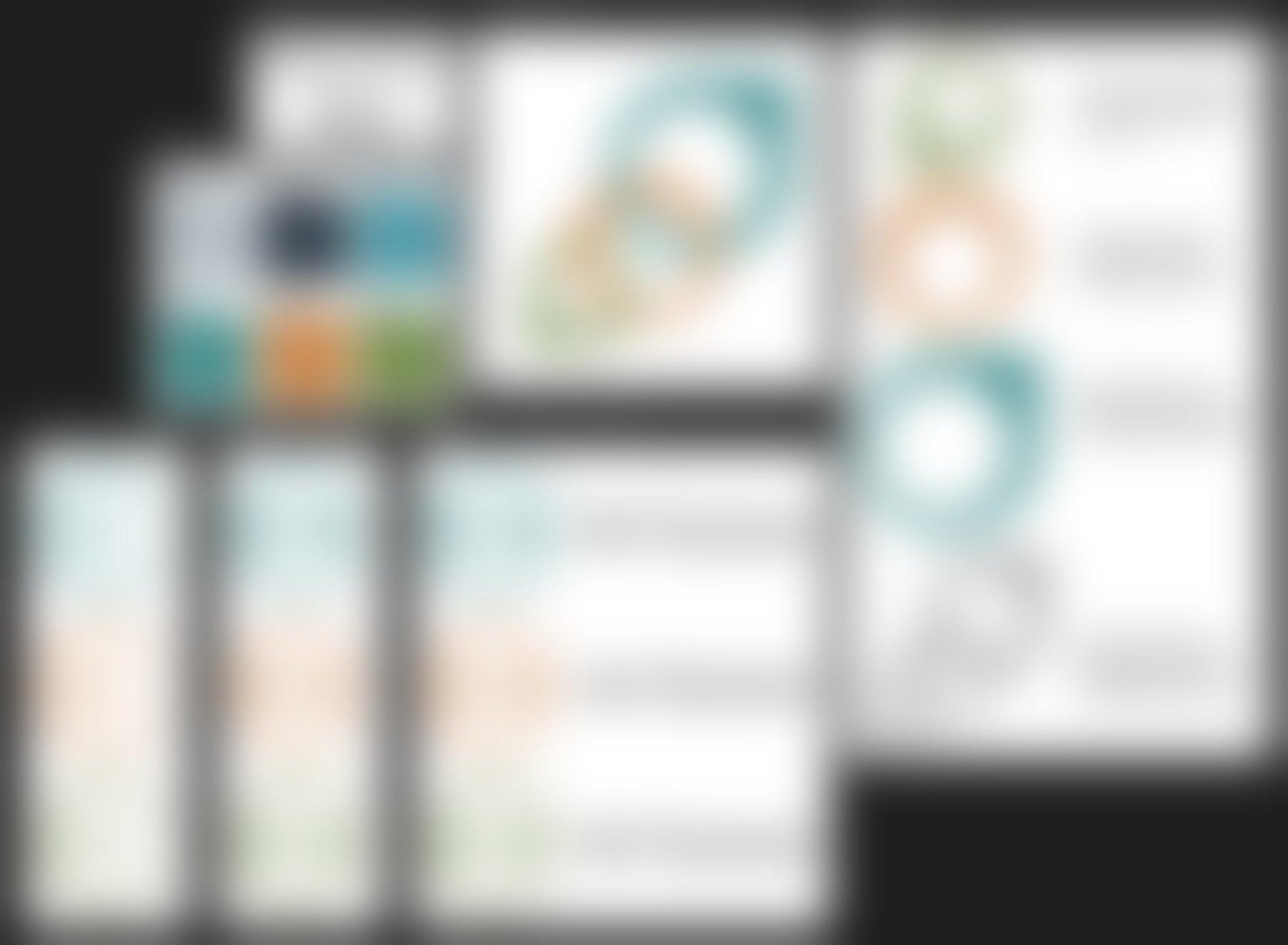 Bewust vervaagd huisstijlbord uit een designsysteem: kleuren, lettertype en logo-uitleg